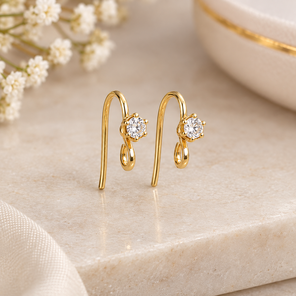 Earring hooks fancy