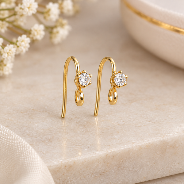 Earring hooks fancy