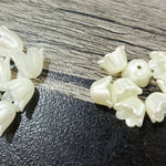 Pearl Tulips