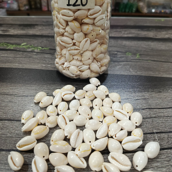 Cowrie shells