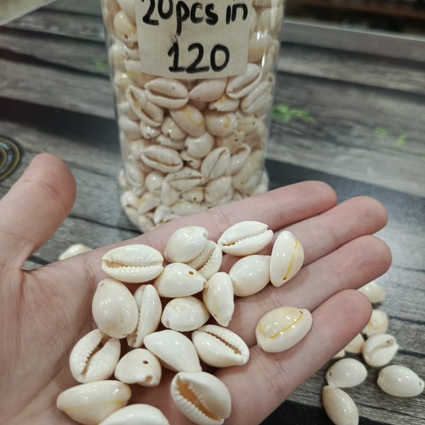 Cowrie shells