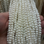 Shell pearls 6mm string