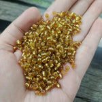 Seed Beads Big Size