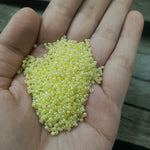 Seed Beads Small Size, 20g