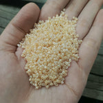 Seed Beads Small Size, 20g