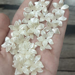 Five petal white flowers