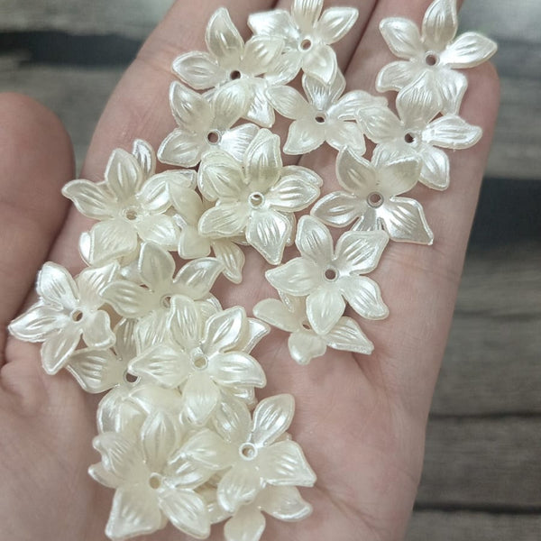 Five petal white flowers