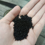 Seed Beads Small Size, 20g