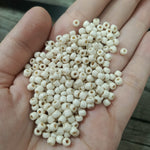 Seed beads, size big 20g image 24 - buy online Pakistan