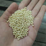 Seed Beads Medium size