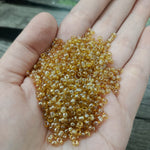Seed Beads Medium size