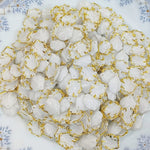 White Shells image 1 - buy online Pakistan