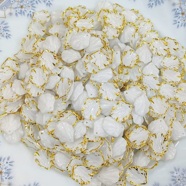 White Shells - buy online Pakistan